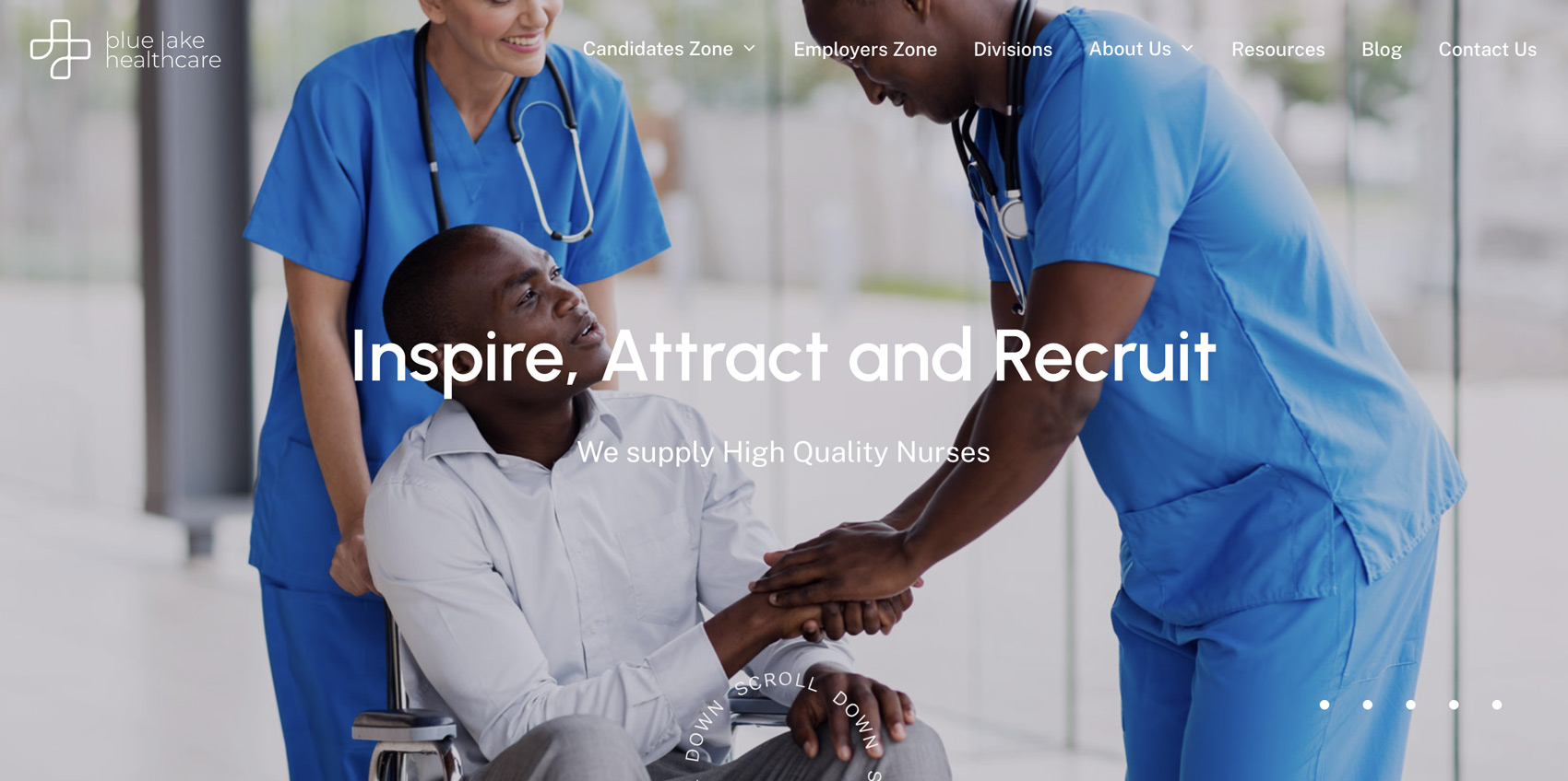 Bluelake Healthcare homepage website